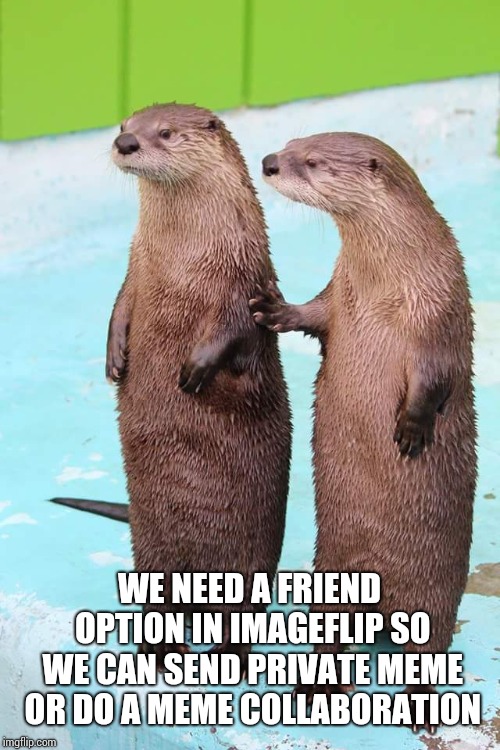 Otter Friends | WE NEED A FRIEND OPTION IN IMAGEFLIP SO WE CAN SEND PRIVATE MEME OR DO A MEME COLLABORATION | image tagged in otter friends | made w/ Imgflip meme maker