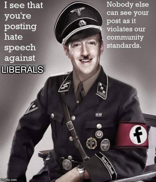 Liberals- Nazis- same. same - Imgflip
