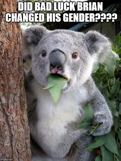 Surprised Koala Meme | DID BAD LUCK BRIAN CHANGED HIS GENDER???? | image tagged in memes,surprised koala | made w/ Imgflip meme maker