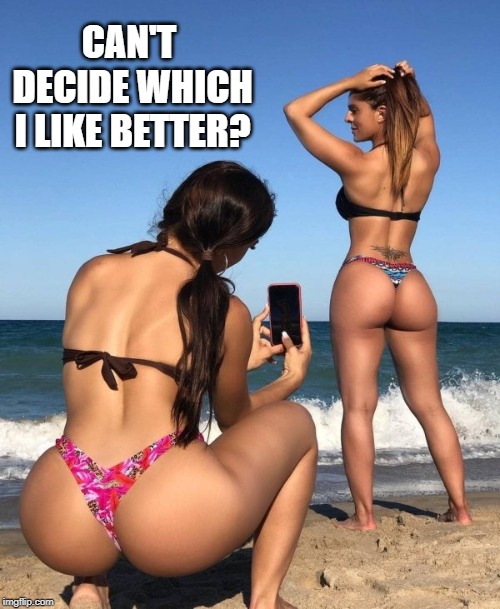 Choose Your Booty | CAN'T DECIDE WHICH I LIKE BETTER? | image tagged in when you see the booty | made w/ Imgflip meme maker