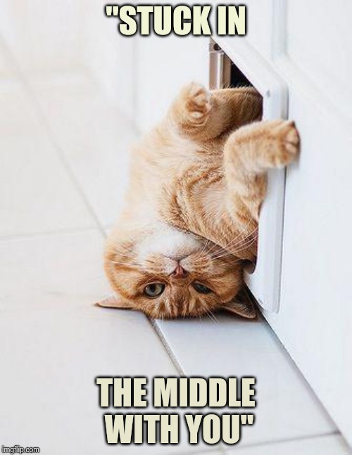 Stuck Cat | "STUCK IN THE MIDDLE WITH YOU" | image tagged in stuck cat | made w/ Imgflip meme maker
