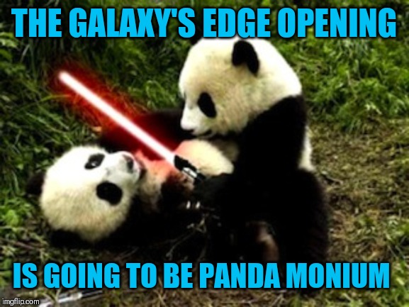Fight me Panda | THE GALAXY'S EDGE OPENING; IS GOING TO BE PANDA MONIUM | image tagged in fight me panda | made w/ Imgflip meme maker