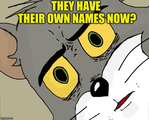Unsettled Tom Meme | THEY HAVE THEIR OWN NAMES NOW? | image tagged in memes,unsettled tom | made w/ Imgflip meme maker