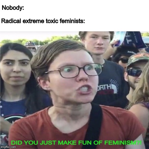 Too many “feminists” in a nutshell | Nobody:; Radical extreme toxic feminists: | image tagged in memes,dank meme,offensive,humor | made w/ Imgflip meme maker