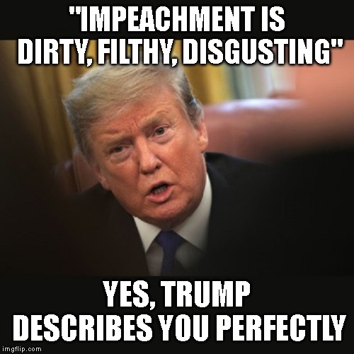 Worst President Ever | "IMPEACHMENT IS DIRTY, FILTHY, DISGUSTING"; YES, TRUMP DESCRIBES YOU PERFECTLY | image tagged in impeach trump,dirty,filthy,disgusting,criminal,conman | made w/ Imgflip meme maker