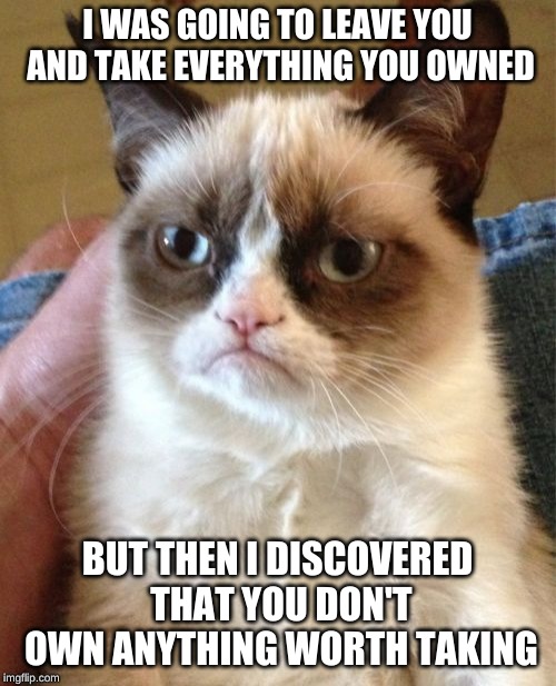Grumpy Cat Meme | I WAS GOING TO LEAVE YOU AND TAKE EVERYTHING YOU OWNED BUT THEN I DISCOVERED THAT YOU DON'T OWN ANYTHING WORTH TAKING | image tagged in memes,grumpy cat | made w/ Imgflip meme maker