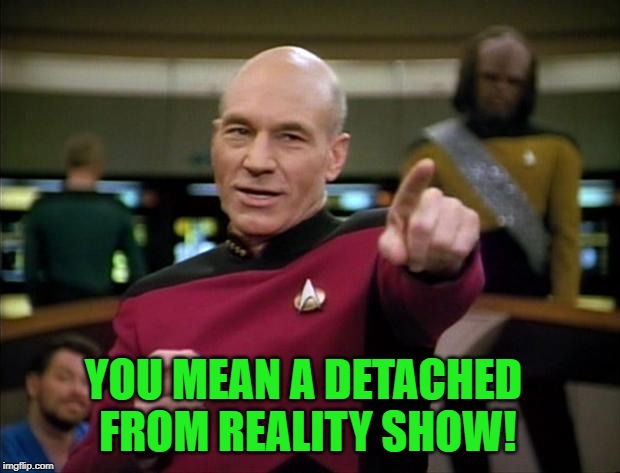 Picard | YOU MEAN A DETACHED FROM REALITY SHOW! | image tagged in picard | made w/ Imgflip meme maker