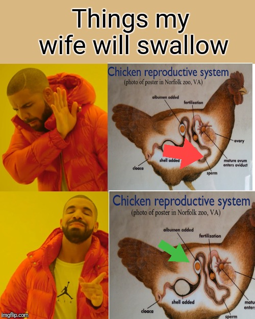 It doesnt make sense! | Things my wife will swallow | image tagged in memes,drake hotline bling,funny,women,swallow | made w/ Imgflip meme maker