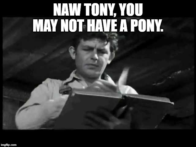 No Time For Sergeants | NAW TONY, YOU MAY NOT HAVE A PONY. | image tagged in no time for sergeants | made w/ Imgflip meme maker