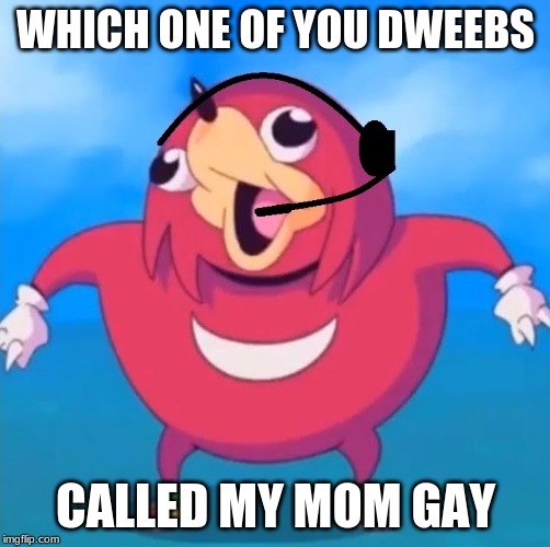 Help Desk Uganda Knuckles | WHICH ONE OF YOU DWEEBS; CALLED MY MOM GAY | image tagged in help desk uganda knuckles | made w/ Imgflip meme maker