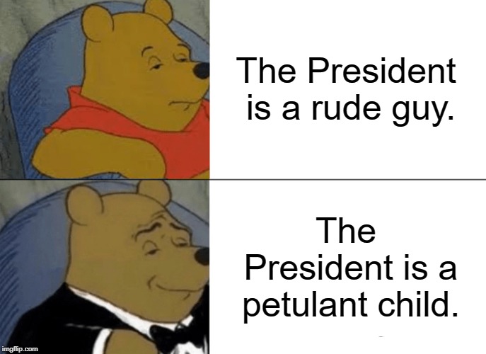 Tuxedo Winnie The Pooh Meme | The President is a rude guy. The President is a petulant child. | image tagged in memes,tuxedo winnie the pooh | made w/ Imgflip meme maker