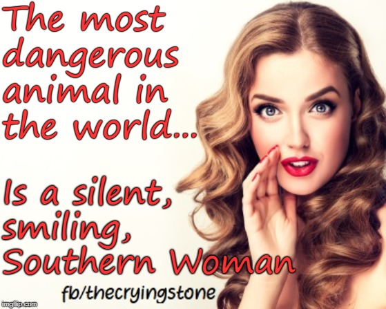 The most dangerous 



animal in 
the world... Is a silent, smiling, Southern Woman | image tagged in dangerous | made w/ Imgflip meme maker