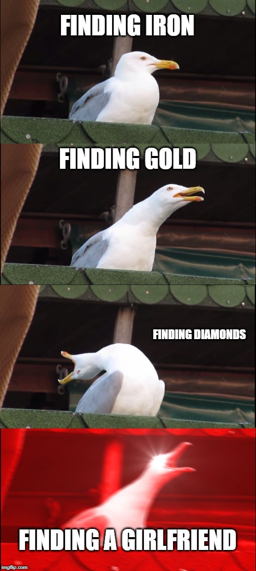 Inhaling Seagull | FINDING IRON; FINDING GOLD; FINDING DIAMONDS; FINDING A GIRLFRIEND | image tagged in memes,inhaling seagull | made w/ Imgflip meme maker