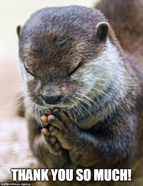 Thank you Lord Otter | THANK YOU SO MUCH! | image tagged in thank you lord otter | made w/ Imgflip meme maker