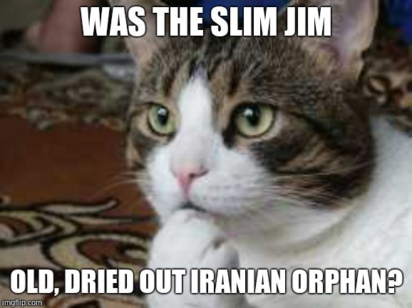 Ponder cat | WAS THE SLIM JIM OLD, DRIED OUT IRANIAN ORPHAN? | image tagged in ponder cat | made w/ Imgflip meme maker