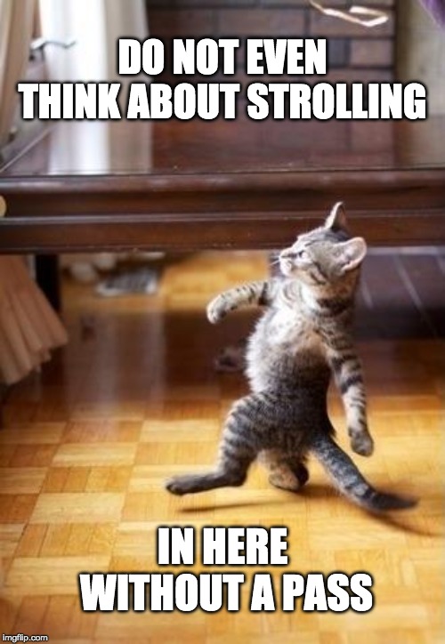 Cool Cat Stroll | DO NOT EVEN THINK ABOUT STROLLING; IN HERE WITHOUT A PASS | image tagged in memes,cool cat stroll | made w/ Imgflip meme maker