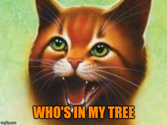 Warrior cats Firestar | WHO'S IN MY TREE | image tagged in warrior cats firestar | made w/ Imgflip meme maker