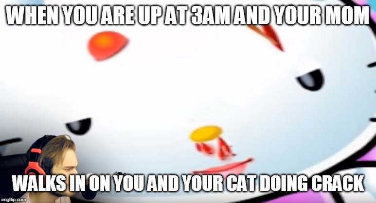 Kitty on Crack | WHEN YOU ARE UP AT 3AM AND YOUR MOM; WALKS IN ON YOU AND YOUR CAT DOING CRACK | image tagged in hello_kitty,please_make_pewds_see_this | made w/ Imgflip meme maker