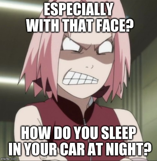 ESPECIALLY WITH THAT FACE? HOW DO YOU SLEEP IN YOUR CAR AT NIGHT? | image tagged in anime,memes,funny,feminist,npc,sjw | made w/ Imgflip meme maker