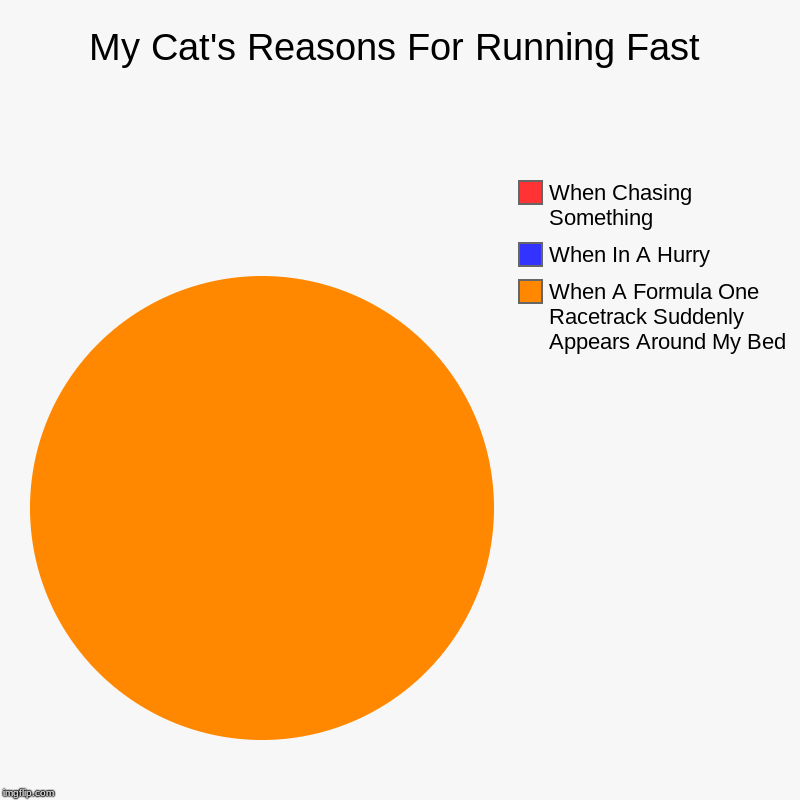 My Cat's Reasons For Running Fast | When A Formula One Racetrack Suddenly Appears Around My Bed, When In A Hurry, When Chasing Something | image tagged in charts,pie charts | made w/ Imgflip chart maker