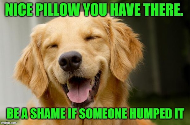Happy Dog | NICE PILLOW YOU HAVE THERE. BE A SHAME IF SOMEONE HUMPED IT | image tagged in happy dog | made w/ Imgflip meme maker