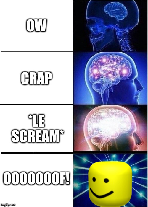 Expanding Brain | OW; CRAP; *LE SCREAM*; OOOOOOOF! | image tagged in memes,expanding brain | made w/ Imgflip meme maker