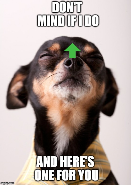 Arrogant dog | DON'T MIND IF I DO AND HERE'S ONE FOR YOU | image tagged in arrogant dog | made w/ Imgflip meme maker