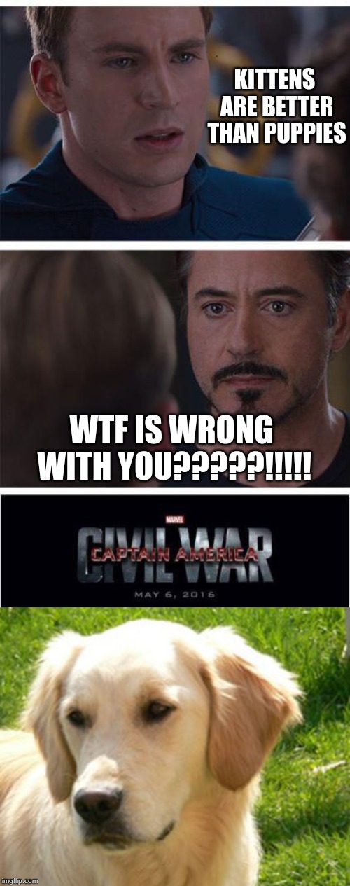 KITTENS ARE BETTER THAN PUPPIES; WTF IS WRONG WITH YOU?????!!!!! | image tagged in memes,marvel civil war 1 | made w/ Imgflip meme maker