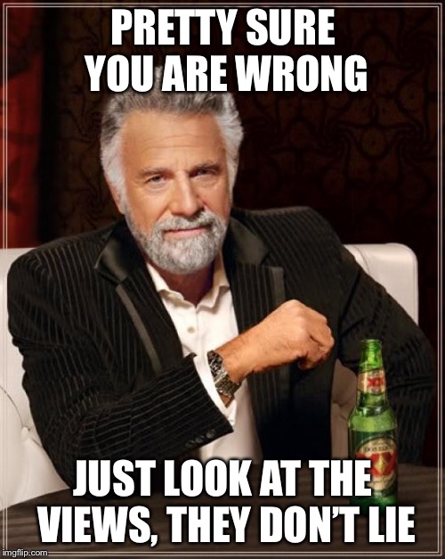 The Most Interesting Man In The World Meme | PRETTY SURE YOU ARE WRONG JUST LOOK AT THE VIEWS, THEY DON’T LIE | image tagged in memes,the most interesting man in the world | made w/ Imgflip meme maker