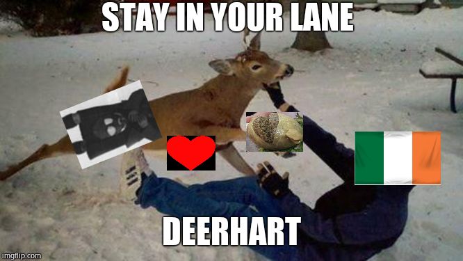 Deer of failure | STAY IN YOUR LANE DEERHART | image tagged in deer of failure | made w/ Imgflip meme maker