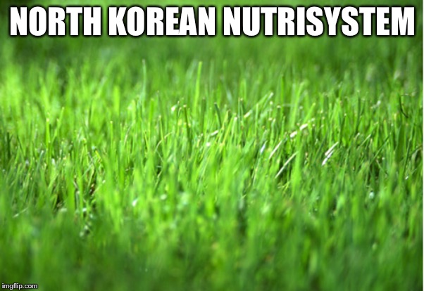 North Korean Nutrisystem | NORTH KOREAN NUTRISYSTEM | image tagged in grass is greener,memes,north korea,nutrisystem,food,bad joke | made w/ Imgflip meme maker