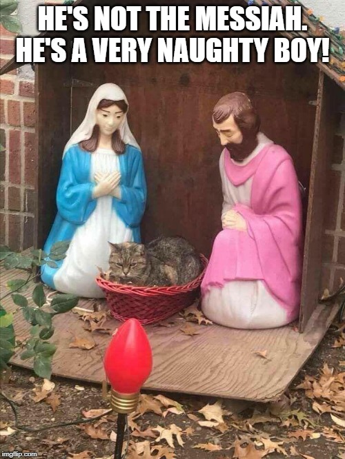 HE'S NOT THE MESSIAH. HE'S A VERY NAUGHTY BOY! | image tagged in life of brian | made w/ Imgflip meme maker