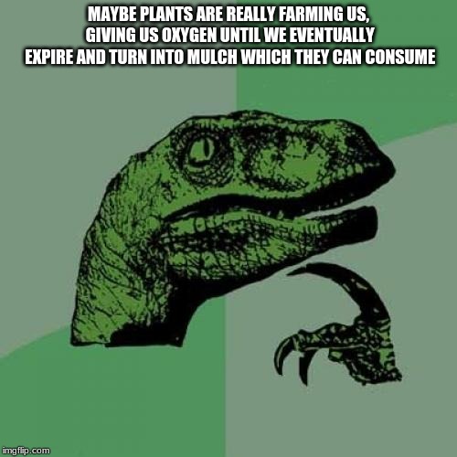 Philosoraptor Meme | MAYBE PLANTS ARE REALLY FARMING US, GIVING US OXYGEN UNTIL WE EVENTUALLY EXPIRE AND TURN INTO MULCH WHICH THEY CAN CONSUME | image tagged in memes,philosoraptor | made w/ Imgflip meme maker