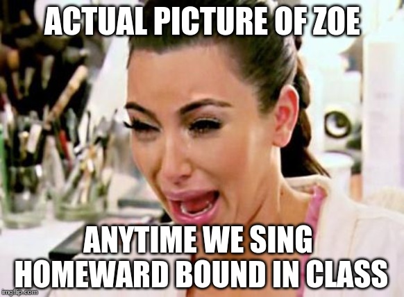 Kim Kardashian | ACTUAL PICTURE OF ZOE; ANYTIME WE SING HOMEWARD BOUND IN CLASS | image tagged in kim kardashian | made w/ Imgflip meme maker