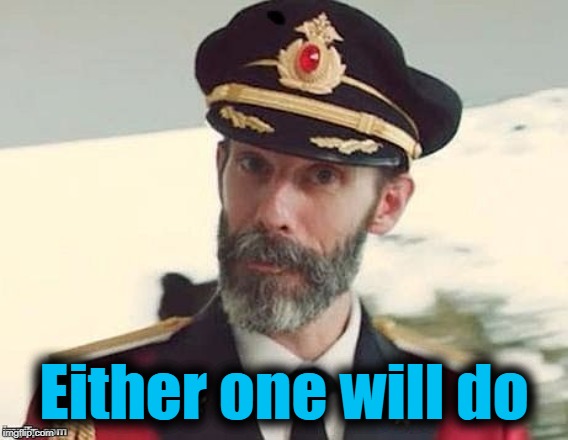 Captain Obvious | Either one will do | image tagged in captain obvious | made w/ Imgflip meme maker