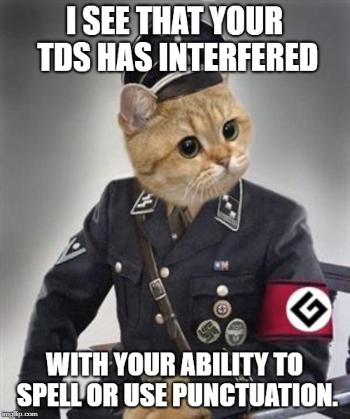 Grammar Nazi Cat | I SEE THAT YOUR TDS HAS INTERFERED WITH YOUR ABILITY TO SPELL OR USE PUNCTUATION. | image tagged in grammar nazi cat | made w/ Imgflip meme maker