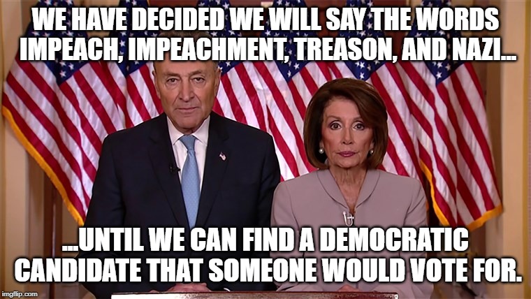 Pelosi and Schumer | WE HAVE DECIDED WE WILL SAY THE WORDS IMPEACH, IMPEACHMENT, TREASON, AND NAZI... ...UNTIL WE CAN FIND A DEMOCRATIC CANDIDATE THAT SOMEONE WOULD VOTE FOR. | image tagged in pelosi and schumer | made w/ Imgflip meme maker