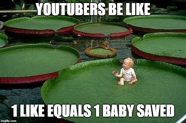 BABY MEMES | YOUTUBERS BE LIKE; 1 LIKE EQUALS 1 BABY SAVED | image tagged in baby | made w/ Imgflip meme maker