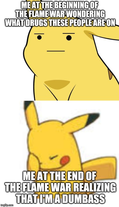 I'm a dumbass. | ME AT THE BEGINNING OF THE FLAME WAR WONDERING WHAT DRUGS THESE PEOPLE ARE ON; ME AT THE END OF THE FLAME WAR REALIZING THAT I'M A DUMBASS | image tagged in pikachu is not amused,pikachu facepalm,dumbass,flame war | made w/ Imgflip meme maker