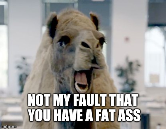 Geico camel hump day | NOT MY FAULT THAT YOU HAVE A FAT ASS | image tagged in geico camel hump day | made w/ Imgflip meme maker