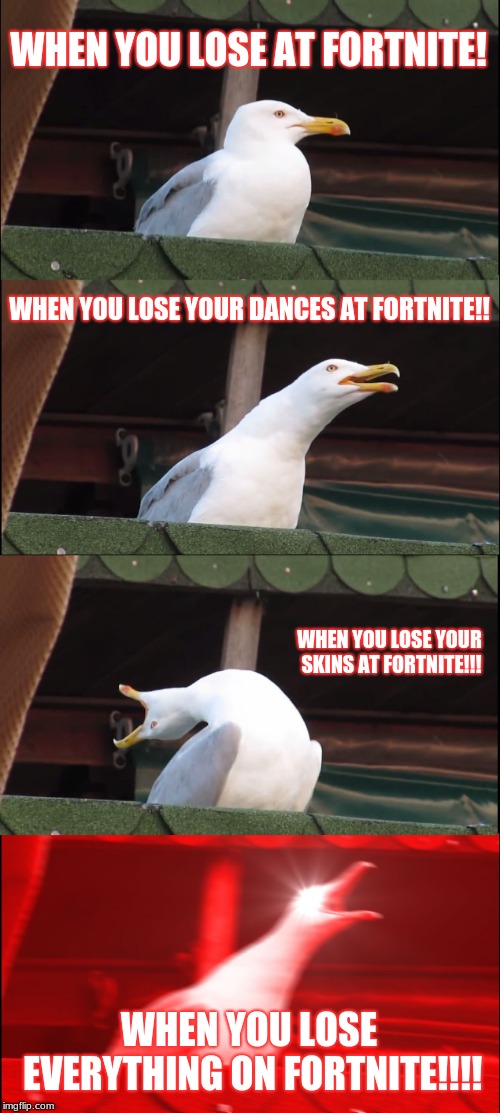 Inhaling Seagull Meme | WHEN YOU LOSE AT FORTNITE! WHEN YOU LOSE YOUR DANCES AT FORTNITE!! WHEN YOU LOSE YOUR SKINS AT FORTNITE!!! WHEN YOU LOSE EVERYTHING ON FORTNITE!!!! | image tagged in memes,inhaling seagull | made w/ Imgflip meme maker