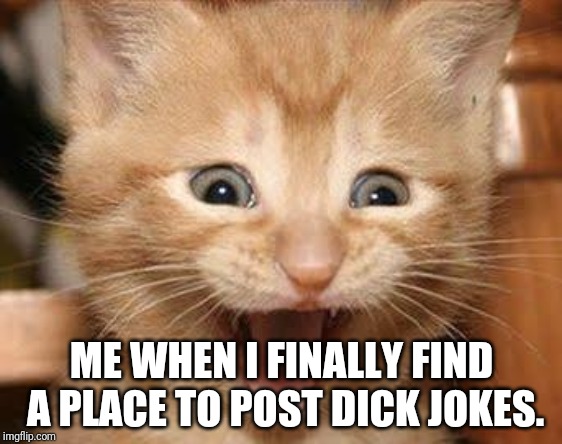 I've been waiting my whole damn life for this! | ME WHEN I FINALLY FIND A PLACE TO POST DICK JOKES. | image tagged in memes,excited cat,dick jokes | made w/ Imgflip meme maker