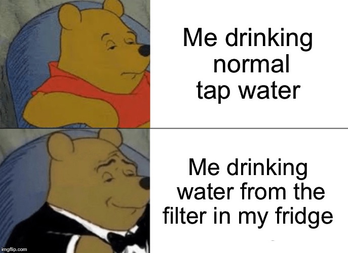 Tuxedo Winnie The Pooh Meme | Me drinking normal tap water; Me drinking water from the filter in my fridge | image tagged in memes,tuxedo winnie the pooh | made w/ Imgflip meme maker