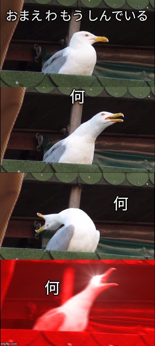 Inhaling Seagull Meme | おまえ わ もう しんでいる; 何; 何; 何 | image tagged in memes,inhaling seagull | made w/ Imgflip meme maker
