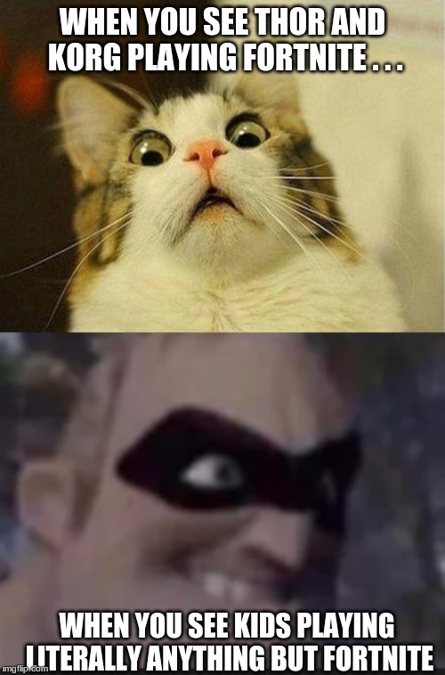 WHEN YOU SEE THOR AND KORG PLAYING FORTNITE . . . WHEN YOU SEE KIDS PLAYING LITERALLY ANYTHING BUT FORTNITE | image tagged in memes,scared cat | made w/ Imgflip meme maker