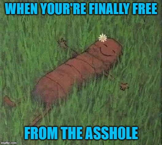 Always good to be free! | WHEN YOUR'RE FINALLY FREE; FROM THE ASSH0LE | image tagged in finally free,memes,content turd,funny,happiness,escape | made w/ Imgflip meme maker