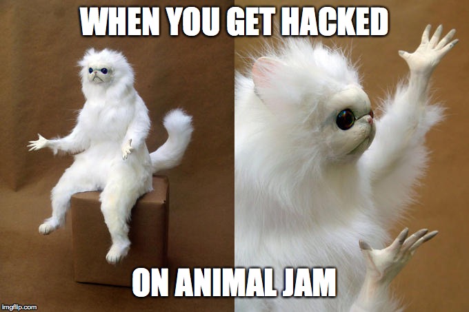 Persian Cat Room Guardian | WHEN YOU GET HACKED; ON ANIMAL JAM | image tagged in memes,persian cat room guardian | made w/ Imgflip meme maker