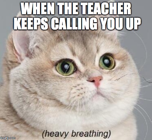 Heavy Breathing Cat Meme | WHEN THE TEACHER KEEPS CALLING YOU UP | image tagged in memes,heavy breathing cat | made w/ Imgflip meme maker