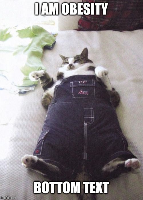 Fat Cat Meme | I AM OBESITY; BOTTOM TEXT | image tagged in memes,fat cat | made w/ Imgflip meme maker
