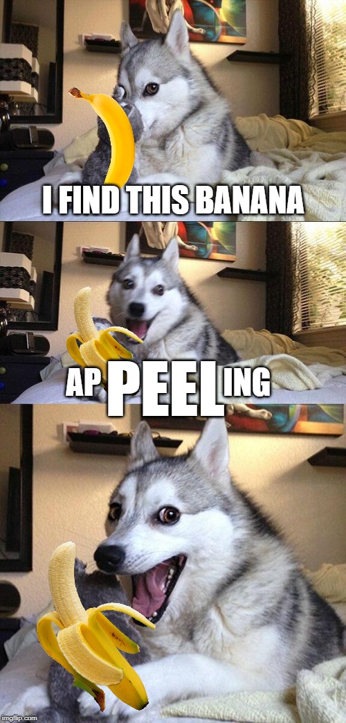 Bad Pun Dog Meme | I FIND THIS BANANA; PEEL; AP                    ING | image tagged in memes,bad pun dog | made w/ Imgflip meme maker
